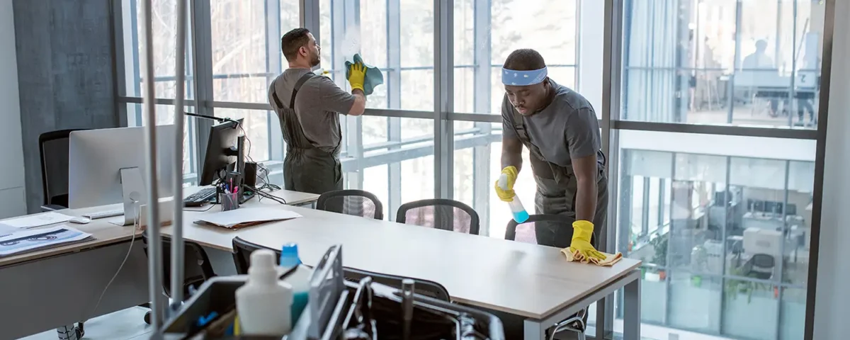 window cleaning services