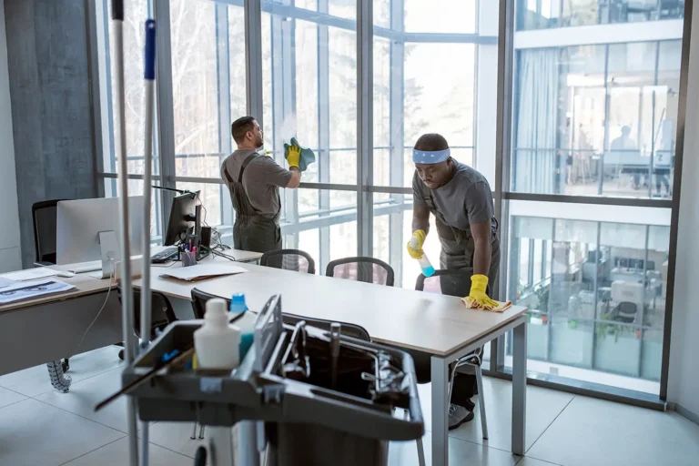 window cleaning services