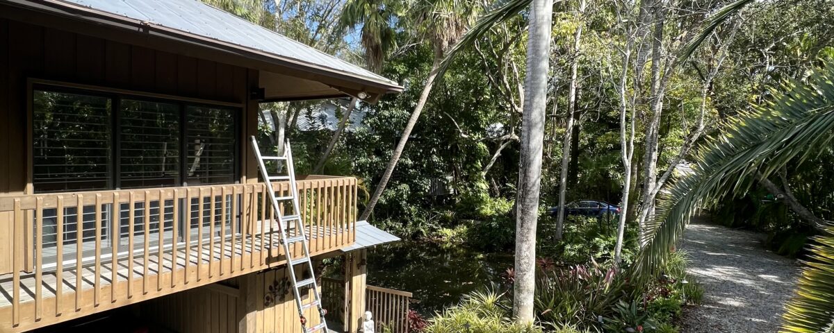 why do windows get faster dirty in Sarasota