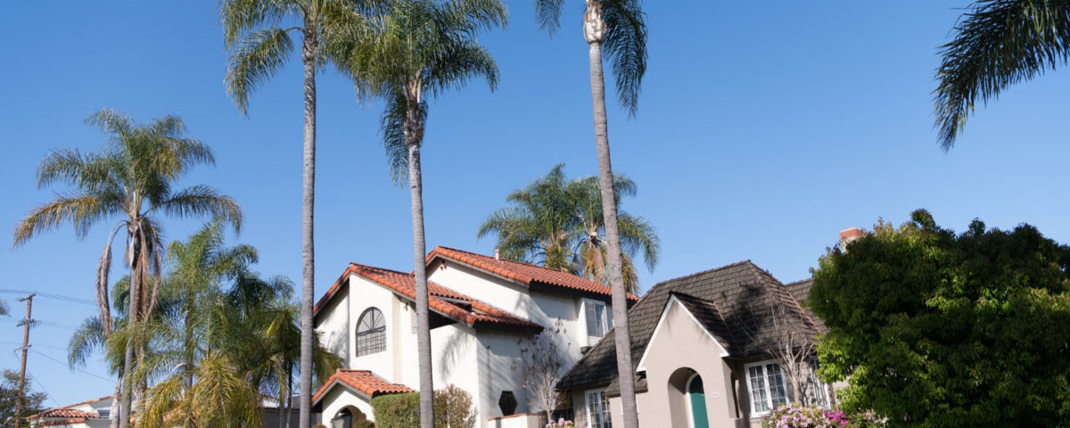 what is pure water window cleaning