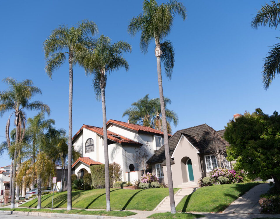 what is pure water window cleaning