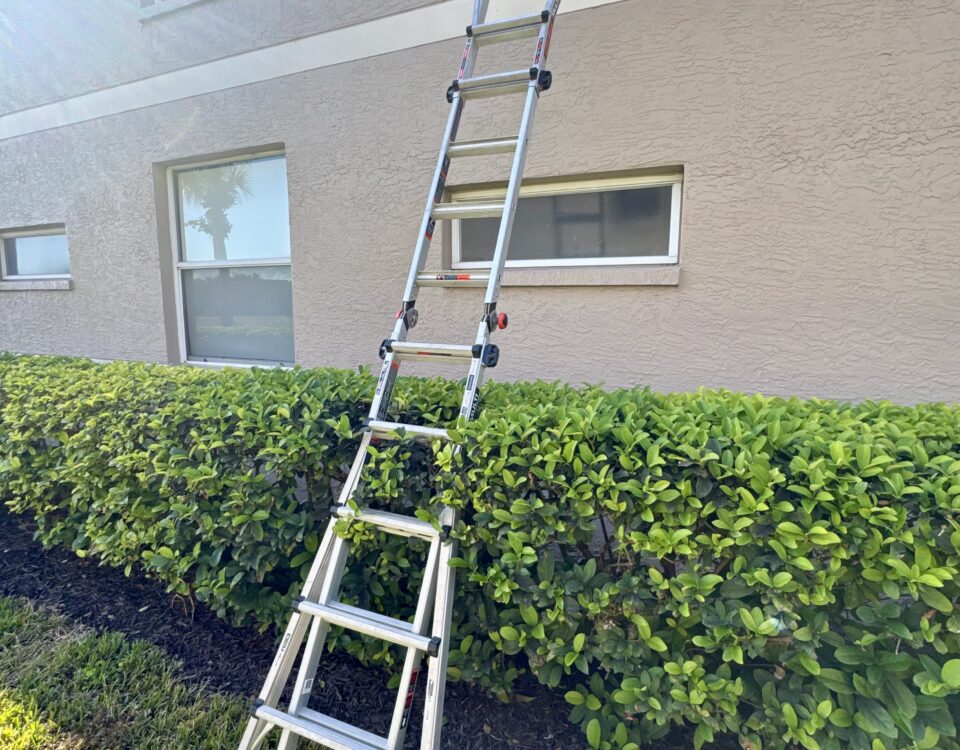 How to compare two sarasota window cleaning quotes